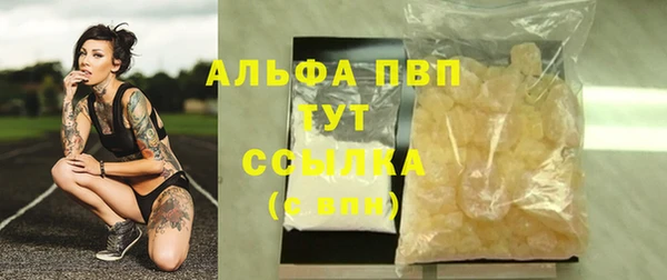 ГАЛЛЮЦИНОГЕННЫЕ ГРИБЫ Белоозёрский