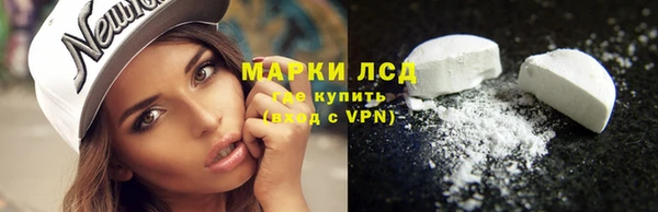 крисы Беломорск