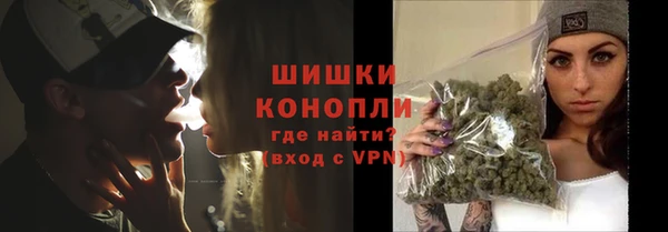 гидропоника Белокуриха