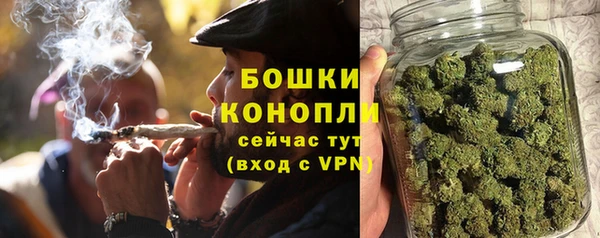 крисы Беломорск