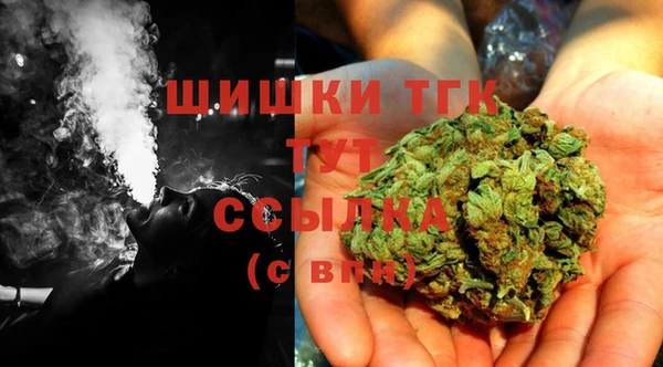 гидропоника Белокуриха