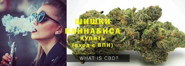 гидропоника Белокуриха